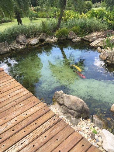 Pool Cleaning Service Fort Lauderdale 10