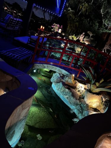 Pool Cleaning Service Fort Lauderdale 14