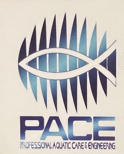 Pool Cleaning Service Fort Lauderdale 4