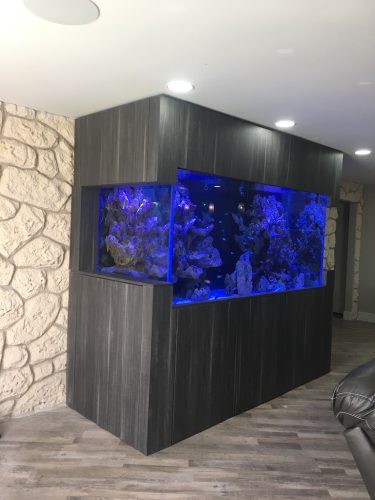 Pool Cleaning Service Fort Lauderdale 5