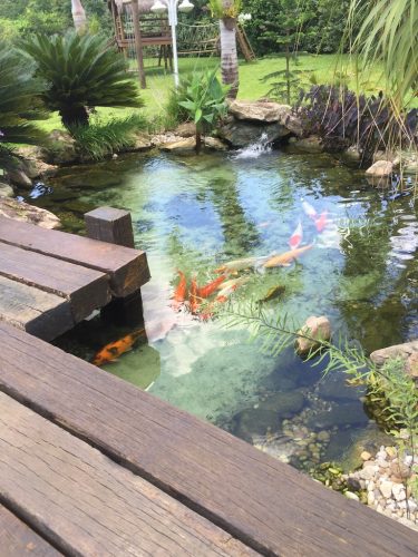 Pool Cleaning Service Fort Lauderdale 9